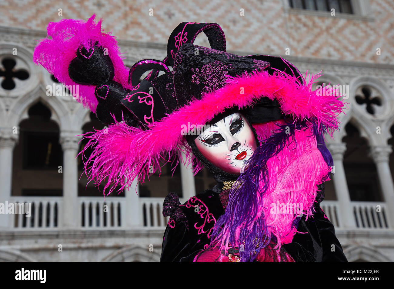 Cat costume - Female Venetian Mask in pink / black elegant costume on St. Mark's Square in Venice with traditional venetian pillar - Venice Carnival Stock Photo