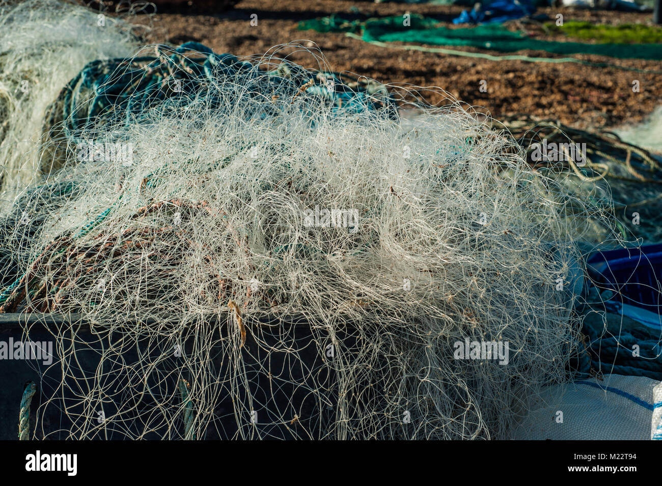 Line fishing tangled hi-res stock photography and images - Page 2 - Alamy