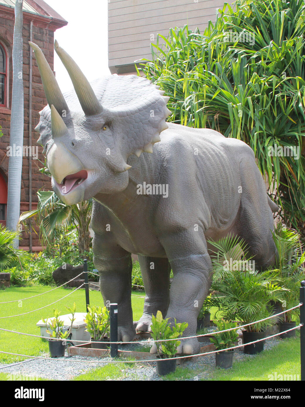 A triceratops statue from the Bernice Pauhai Bishop Museum in Honolulu, Hawaii. Stock Photo