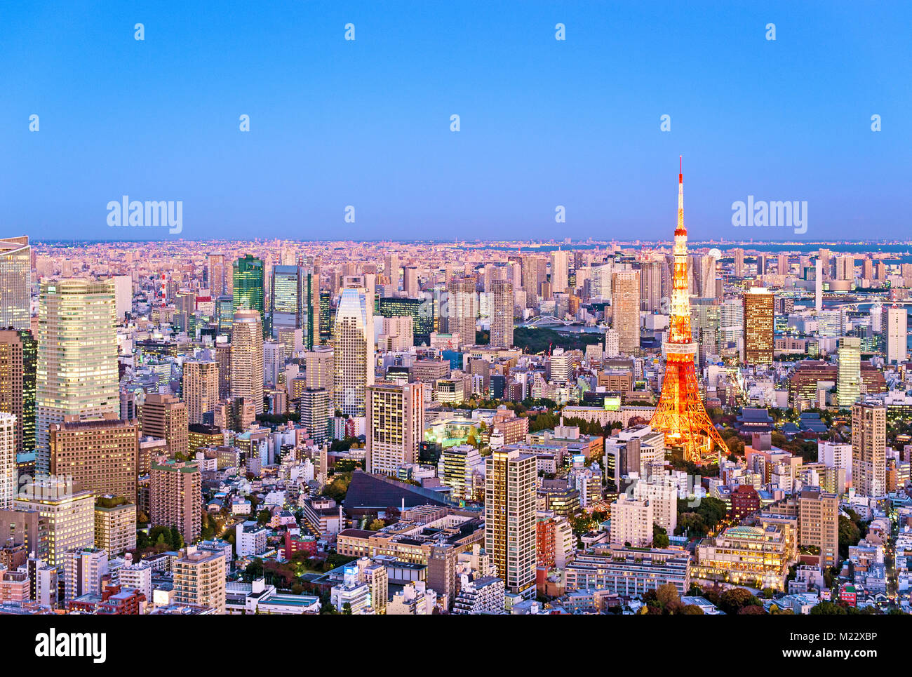 Tokyo Tower Tokyo Skyline Night Scene Stock Photo