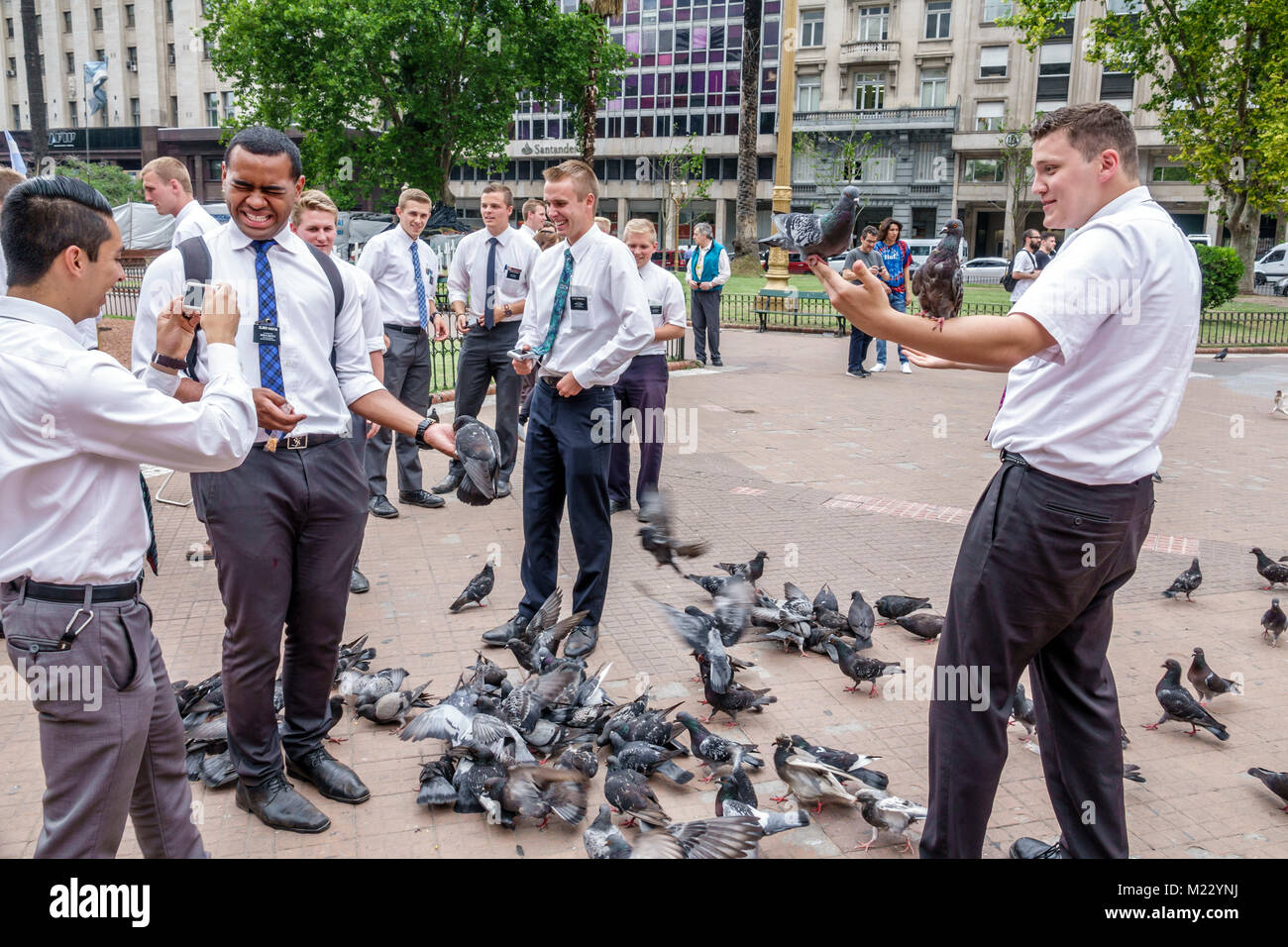 Buenos Aires Argentina,Plaza de Mayo central square,park,Mormon,man men male,young adult,missionary,conservative attire,feeding,holding pigeons,Hispan Stock Photo