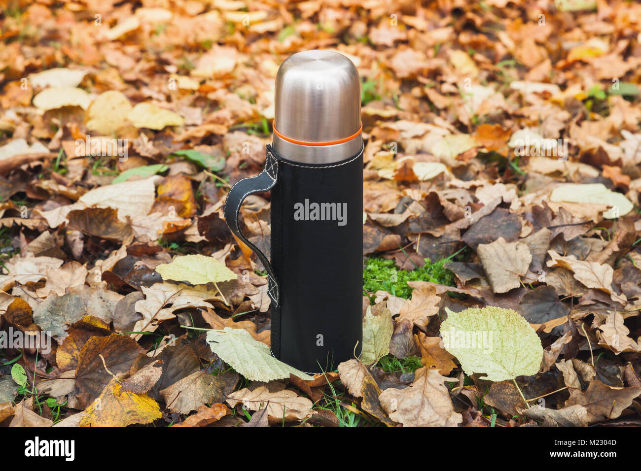 https://c8.alamy.com/comp/M2304D/vacuum-tourist-thermos-made-of-stainless-steel-stands-on-fallen-autumn-M2304D.jpg