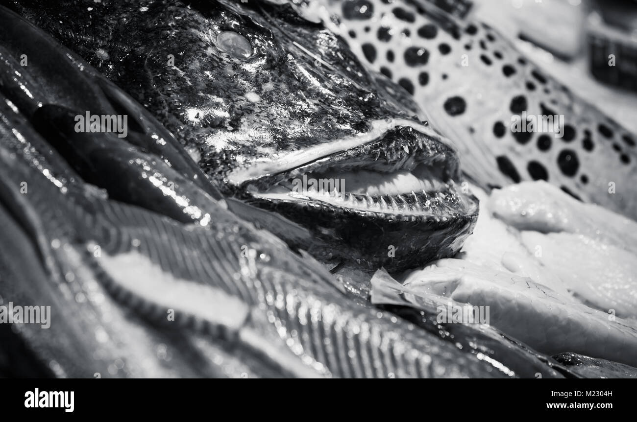 Angler fish and other seafood lay on counter in fish shop, black and white photo with selective focus Stock Photo