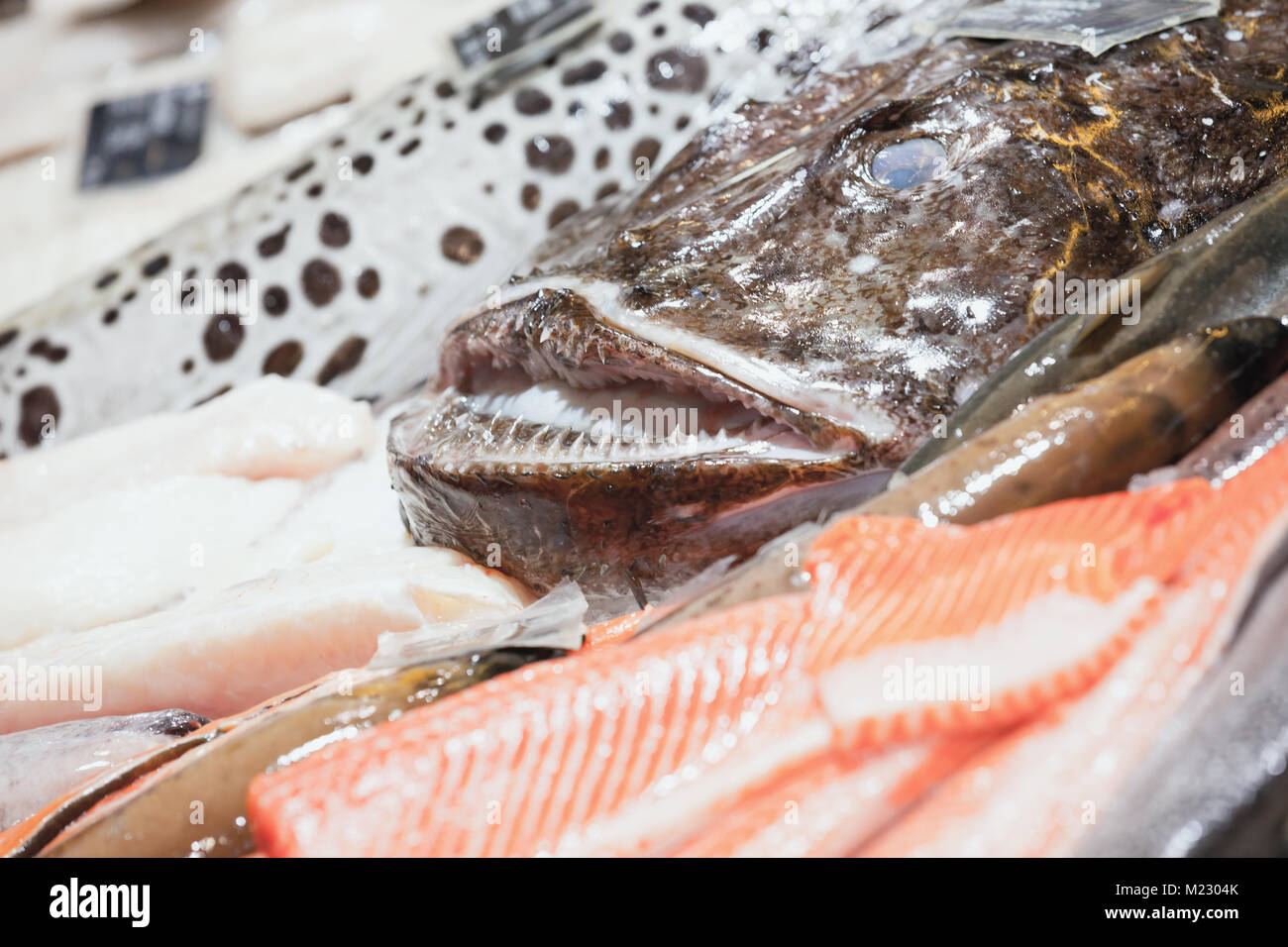 Angler fish and other seafood lay on counter in fish shop, closeup photo with selective focus Stock Photo