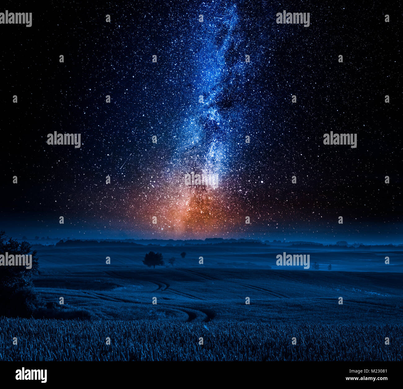 Milky way and field with tree at night in summer Stock Photo - Alamy