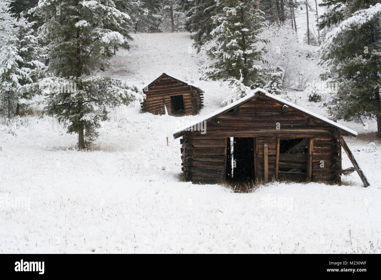 Snow covered wooden cabins at the Ghost Town, on Bear Gulch