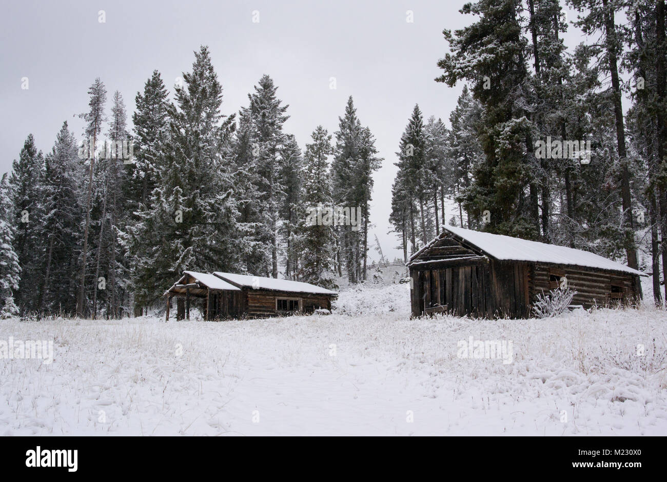 Snow covered wooden cabins at the Ghost Town, on Bear Gulch