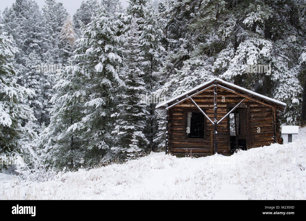 A snow covered log cabin, at Ghost Town, on Bear Gulch