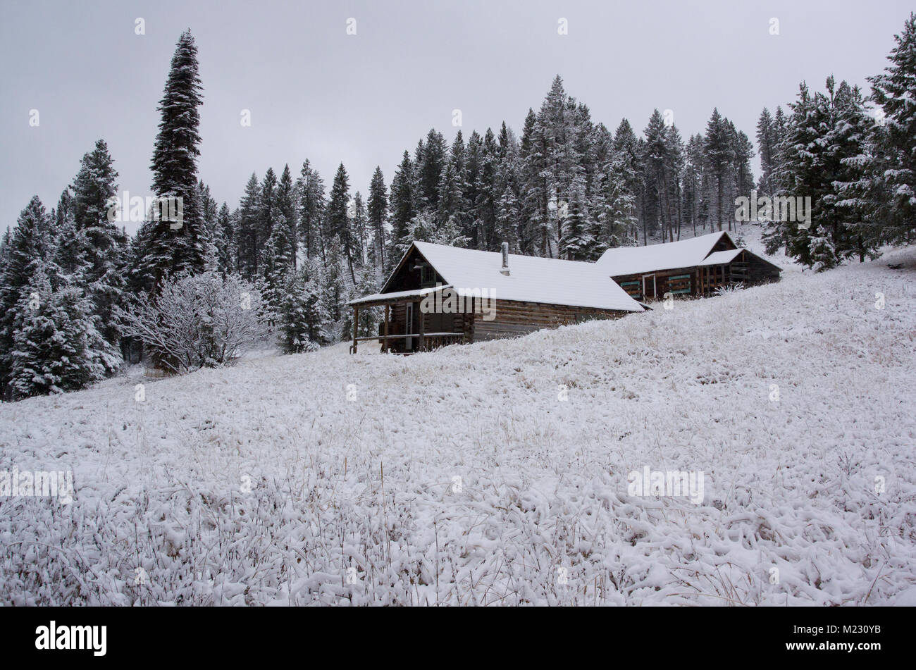 Snow covered wooden cabins at the Ghost Town, on Bear Gulch