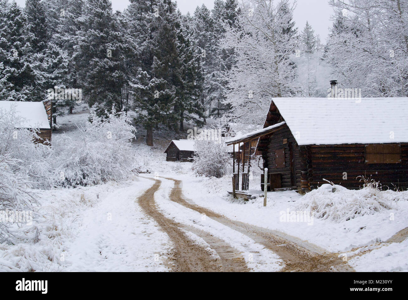 Snow covered wooden cabins at the Ghost Town, on Bear Gulch