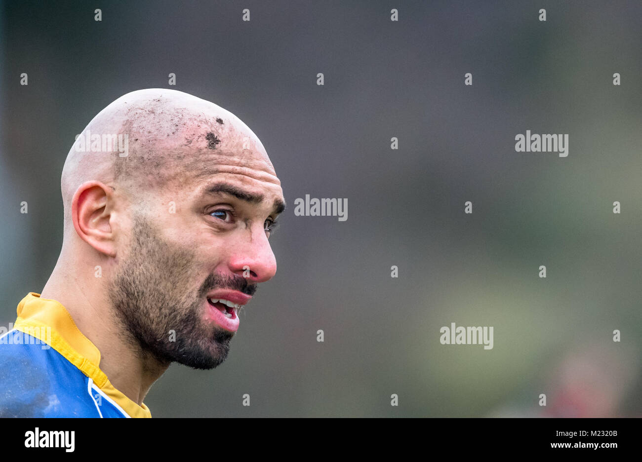 Head injury on a amateur rugby union player. Stock Photo