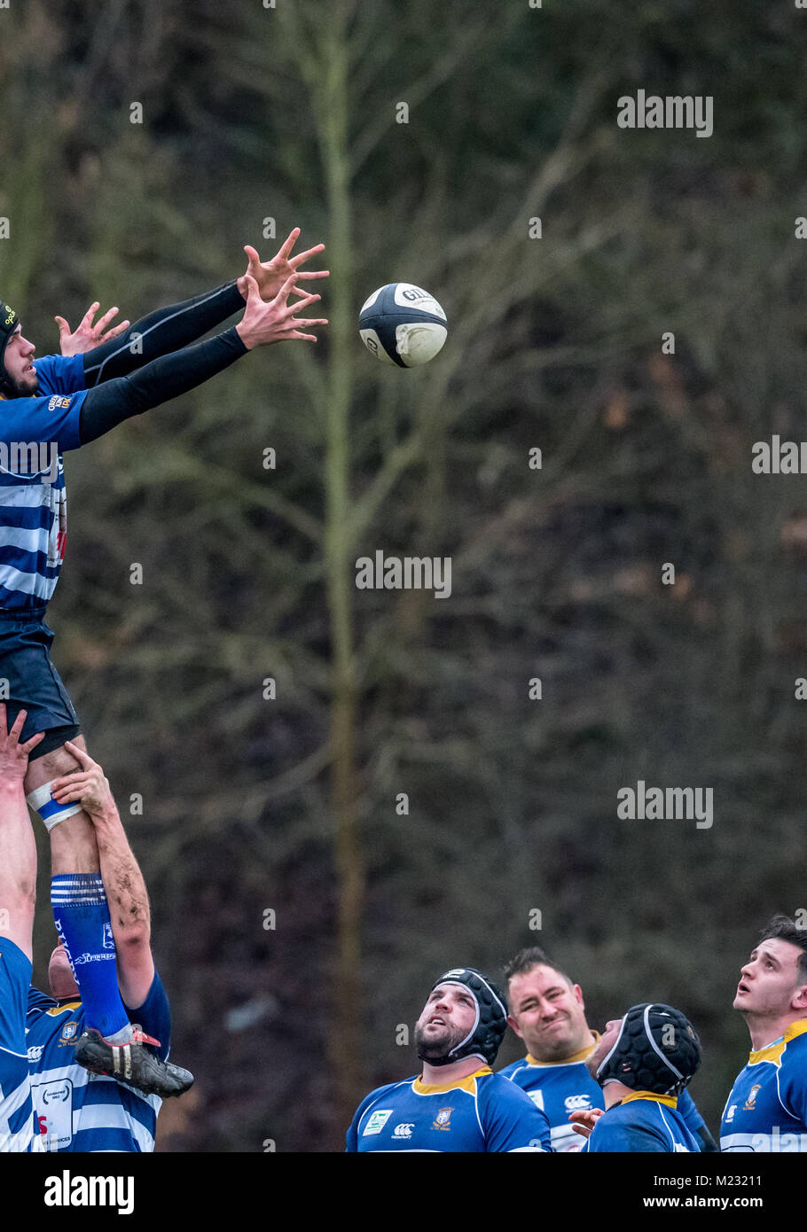 Throw rugby ball player in hi-res stock photography and images - Alamy