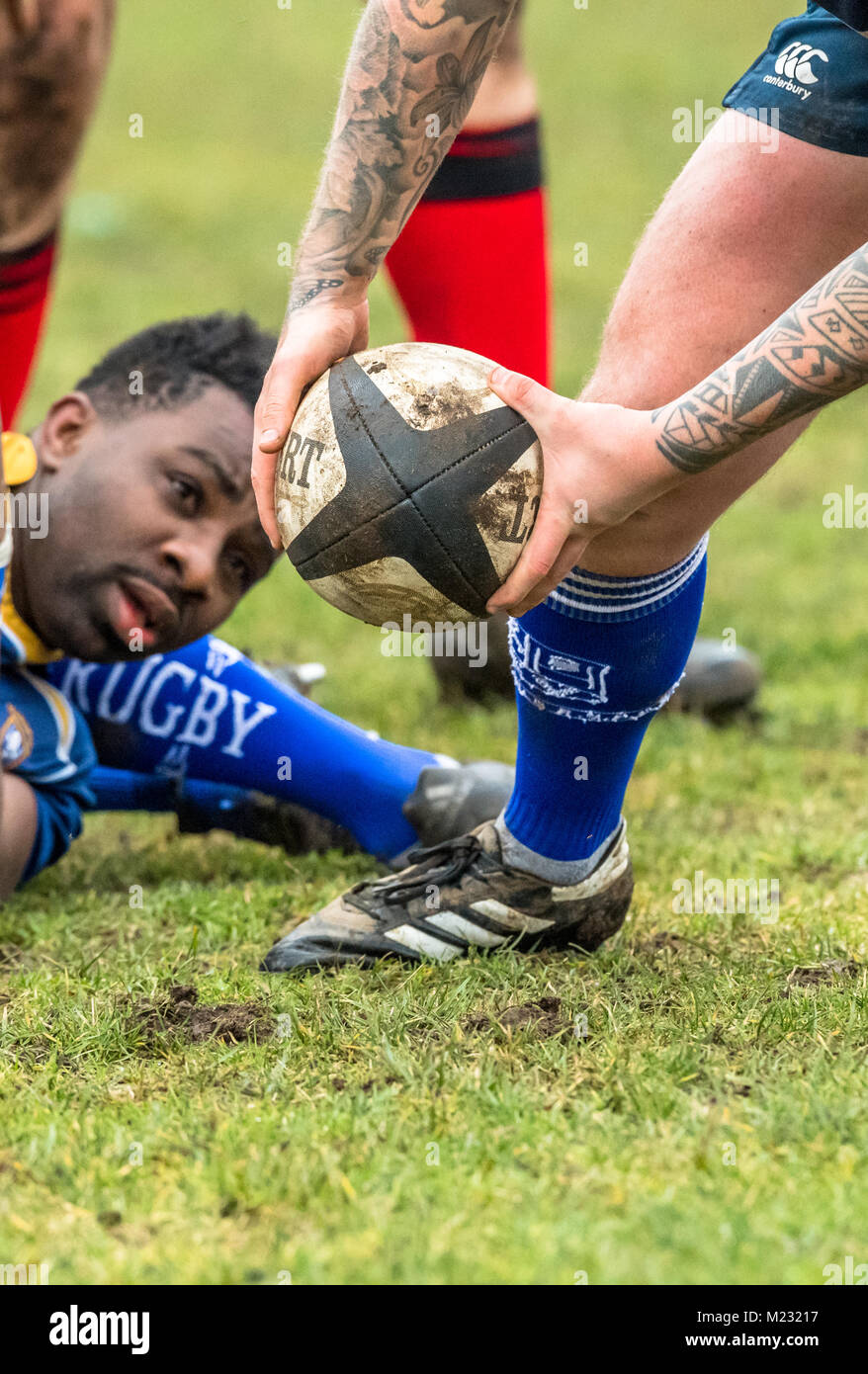 Rugby player passing ball man hires stock photography and images Alamy