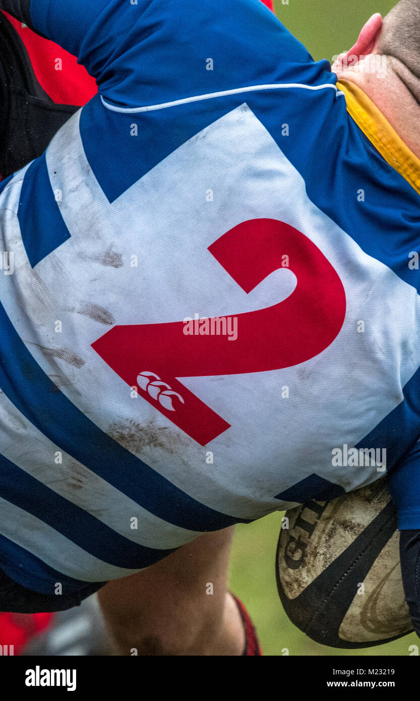Numbered shirt on an amateur Rugby union club football players Stock