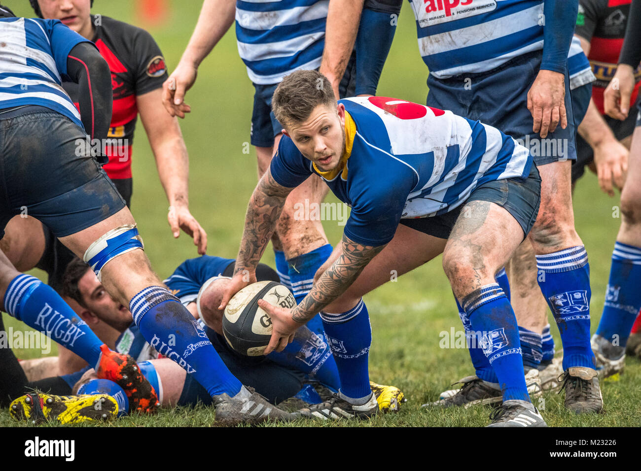Rugby union player grips the ball to pass it on Stock Photo Alamy
