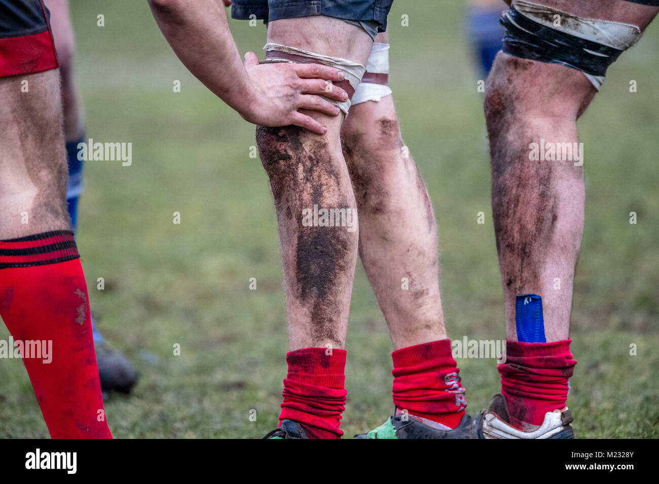 Muddy and dirty legs of british amateur rugby union players Stock Photo -  Alamy