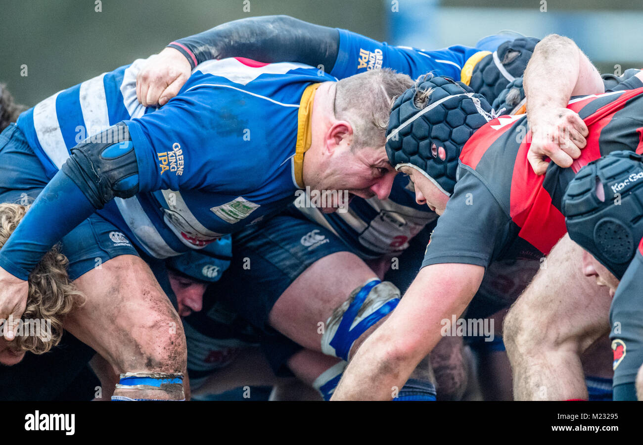 Typical rugby union scrum with players coming together. Stock Photo