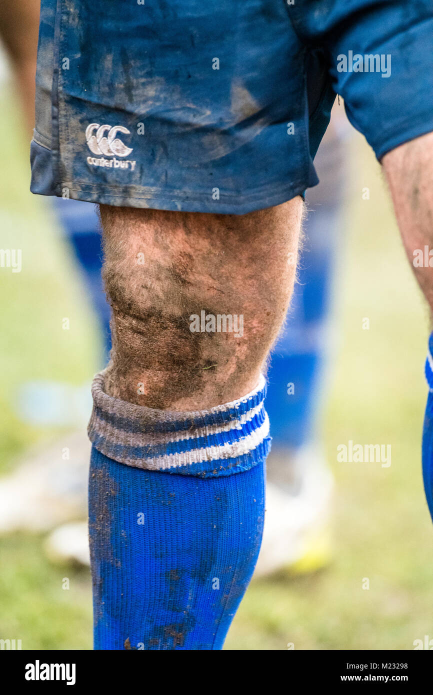 Muddy and dirty legs of british amateur rugby union players. Stock Photo