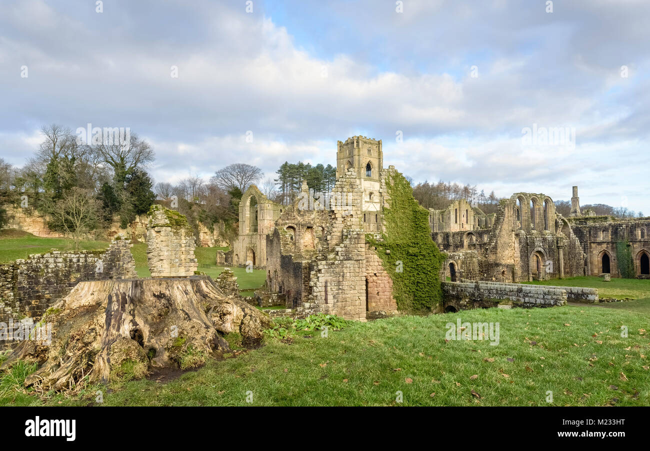 The ruins of Fountains Abbey on a fine autumn morning as viewed from across the river Skell near Ripon, Yorkshire, UK. Stock Photo