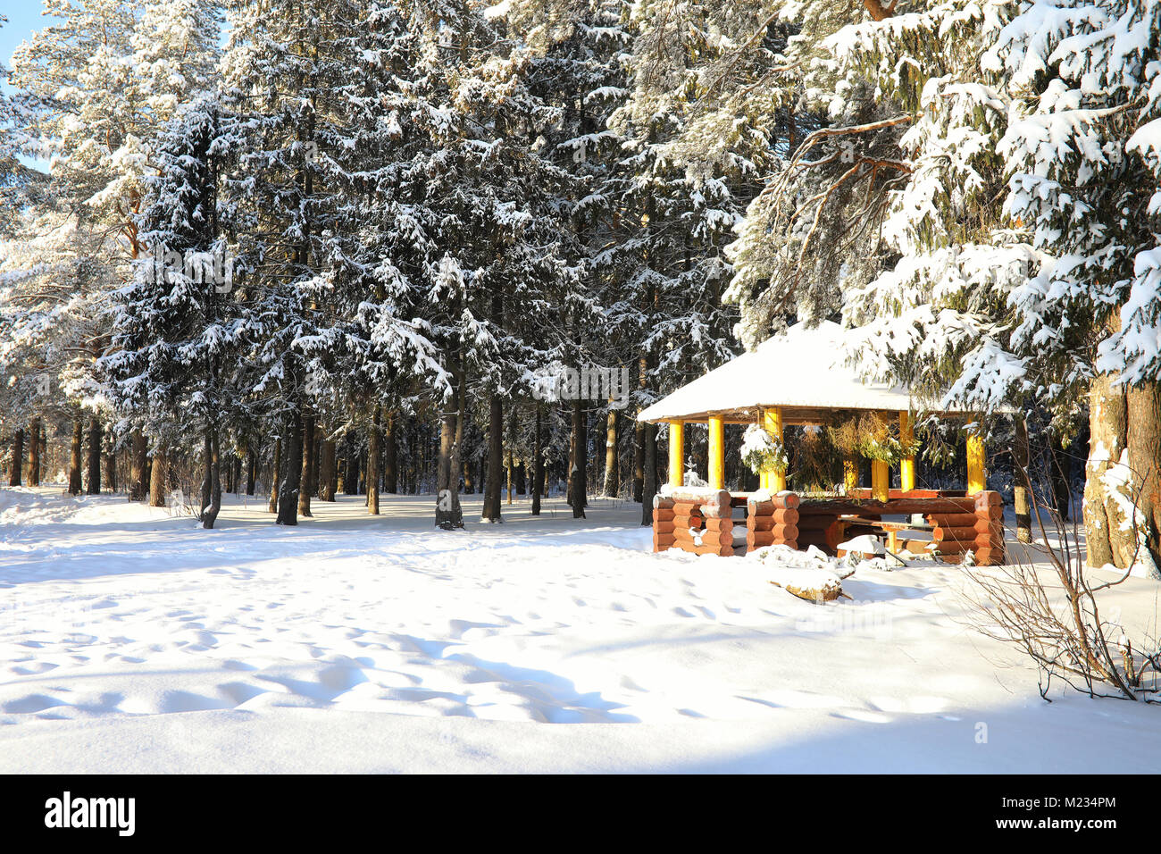 wooden gazebo in forest in winter sunny day Stock Photo - Alamy