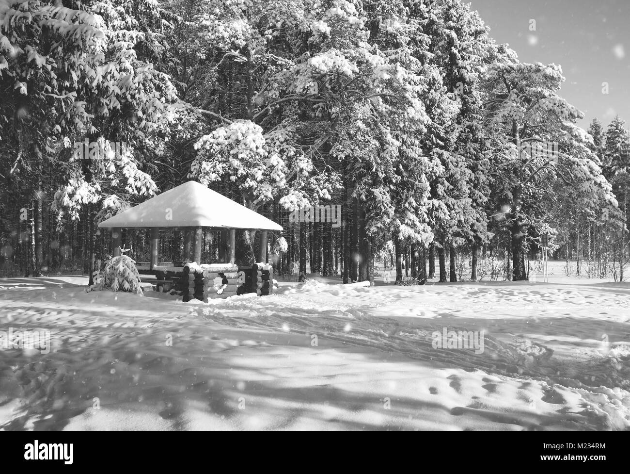 monochrome wooden gazebo in forest in winter sunny day Stock Photo - Alamy