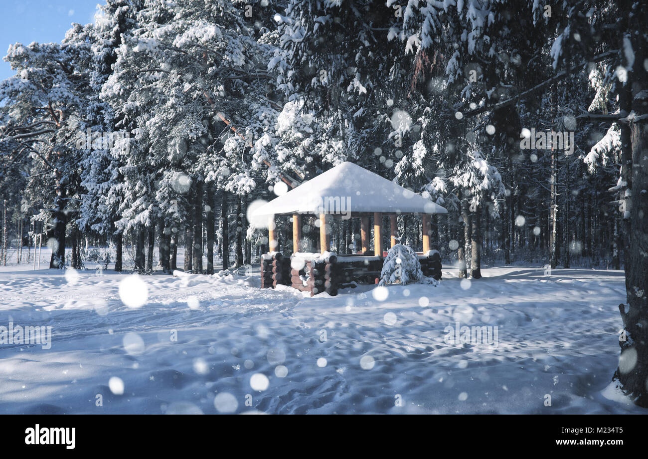 wooden gazebo in forest in the winter snow blizzard Stock Photo - Alamy
