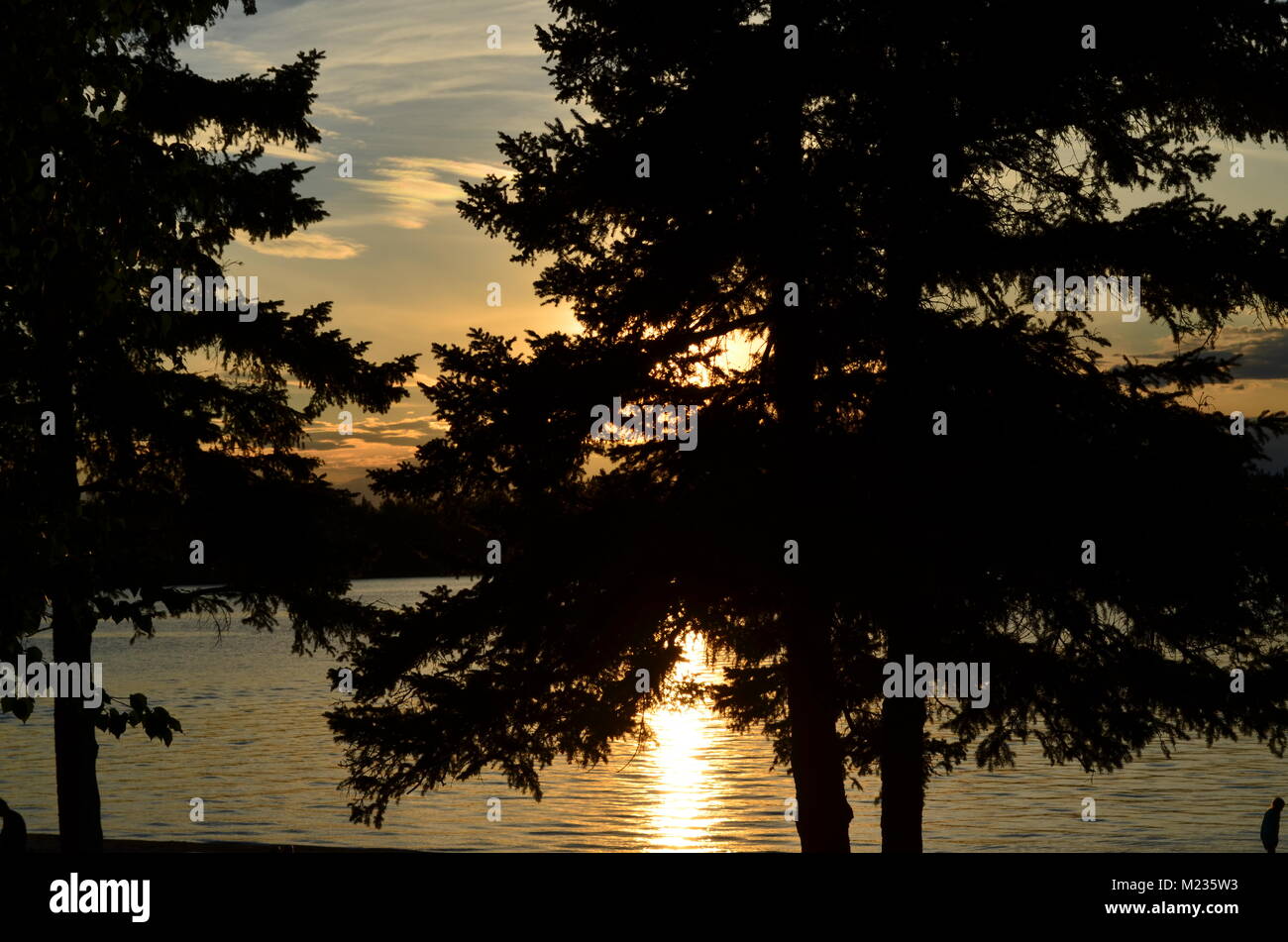 Enjoying the evening sunset reflecting off of the lake and hiding behind a group of spruce trees at Denare beach, Saskatchewan Stock Photo