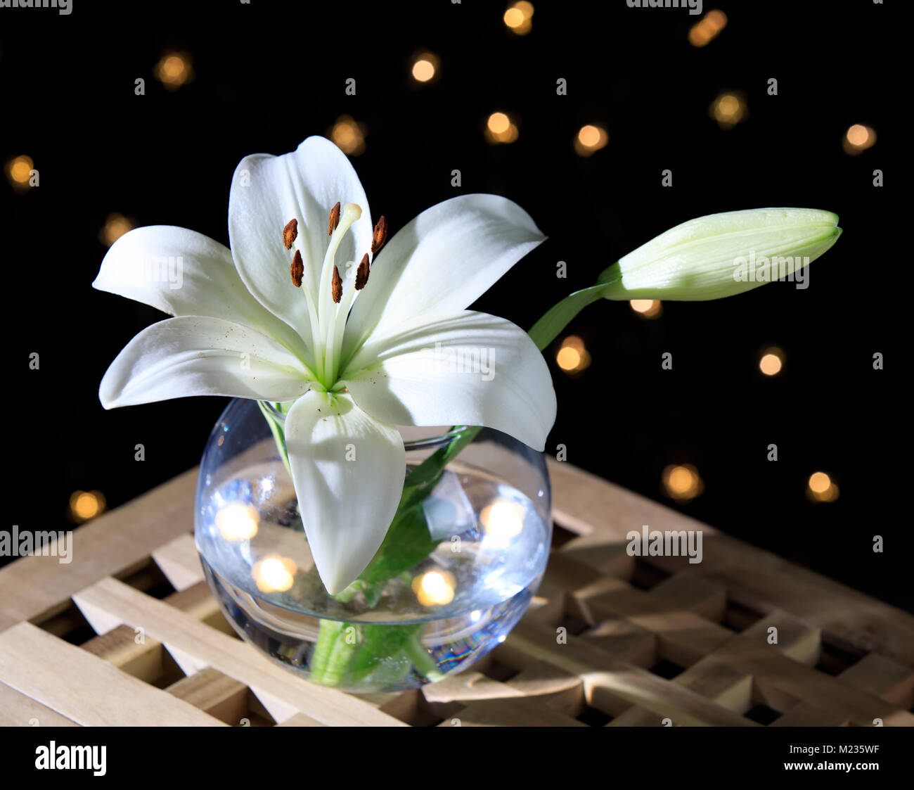White lily in a glass vase on a black background Stock Photo - Alamy