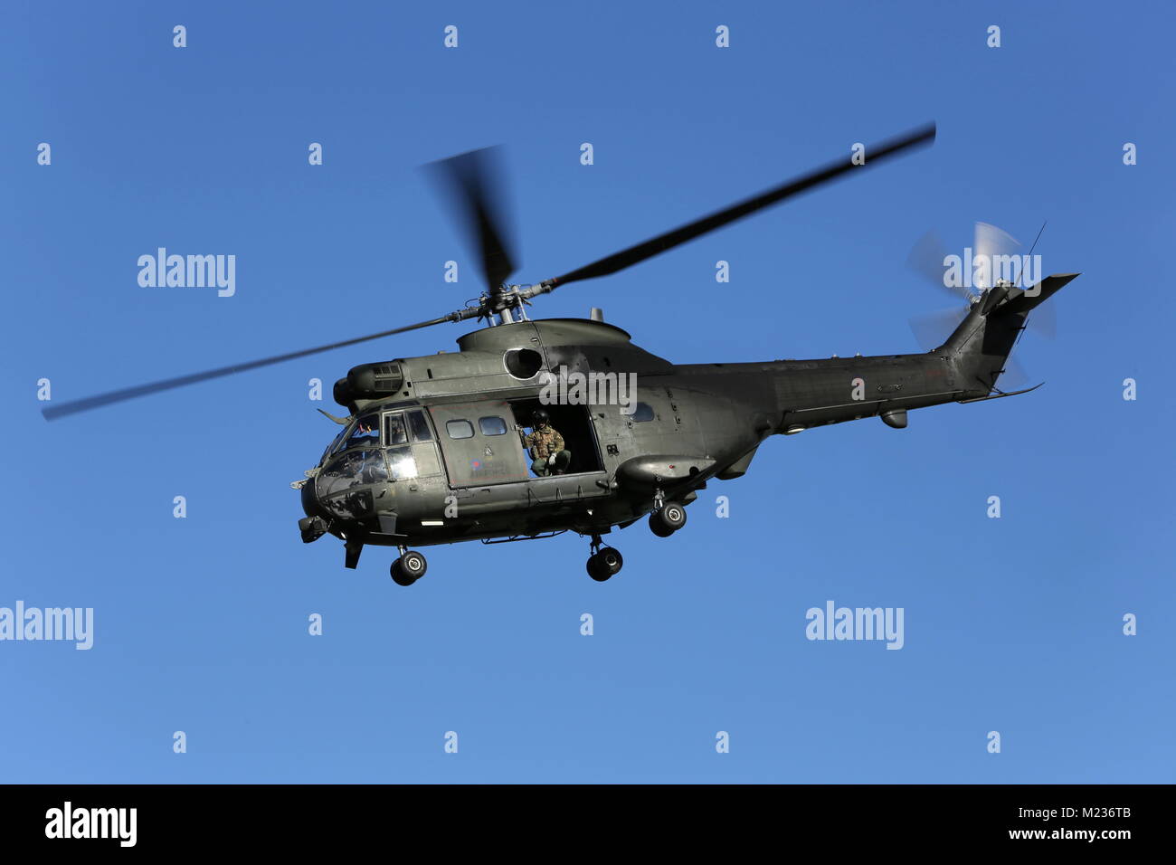 Puma hc mk2 hi-res stock photography and images - Alamy