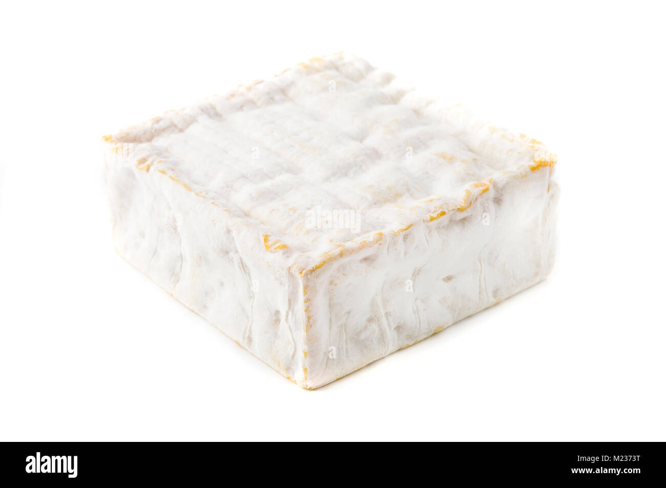 Pont l' Eveque cheese on a white background Stock Photo
