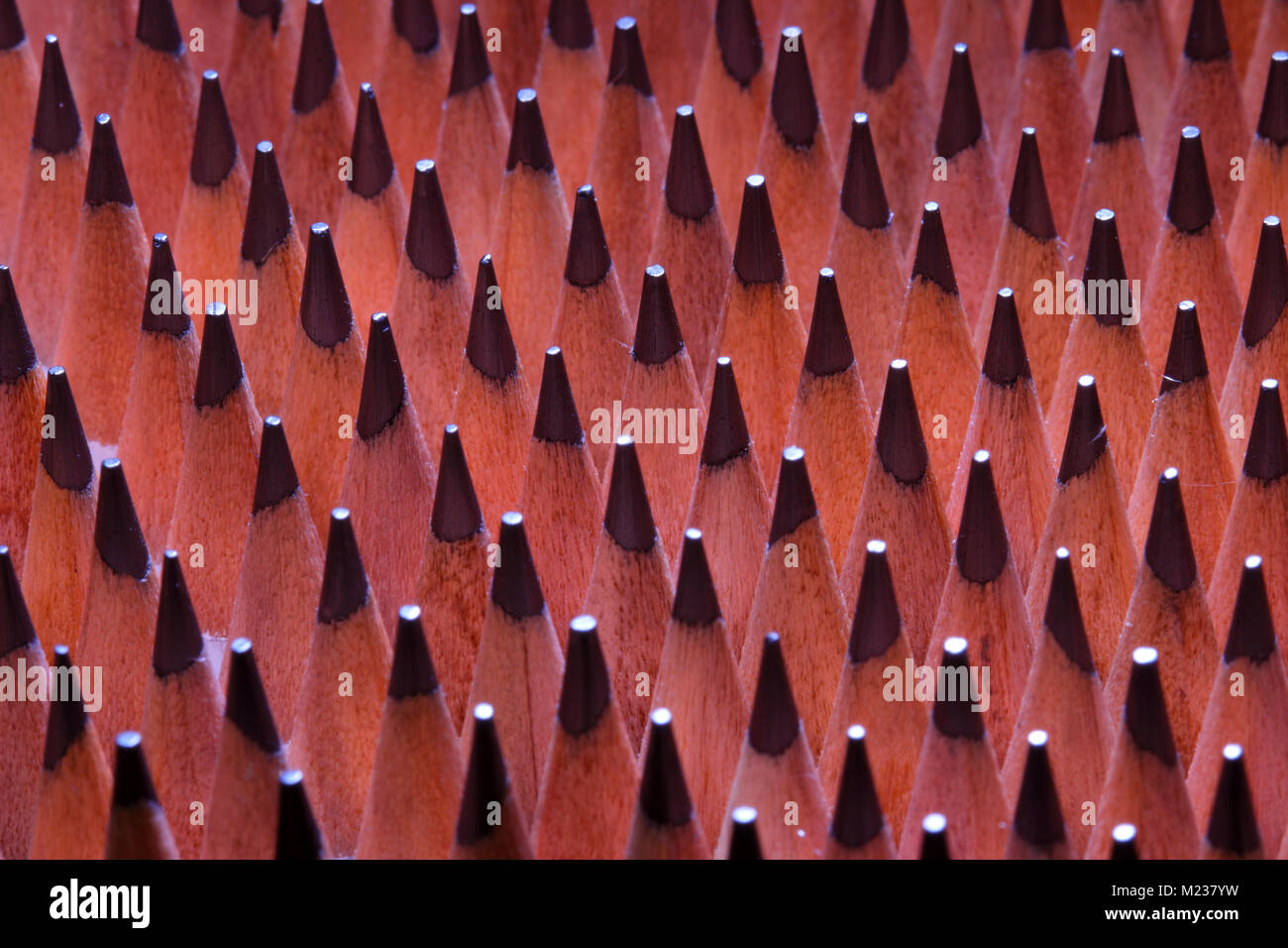 Abstract macro of a box of pencils Stock Photo