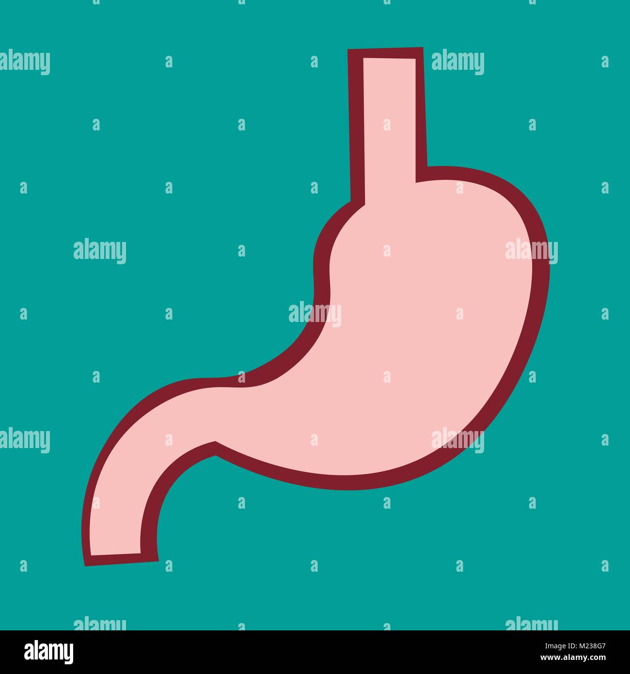 Stomach icon. Human internal organs symbol. Digestive system anatomy ...