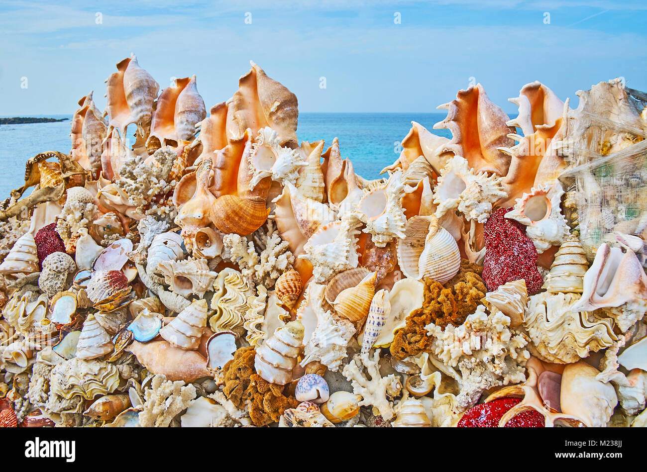 The large amount of beautiful sea shells, popular tourist souvenir, in