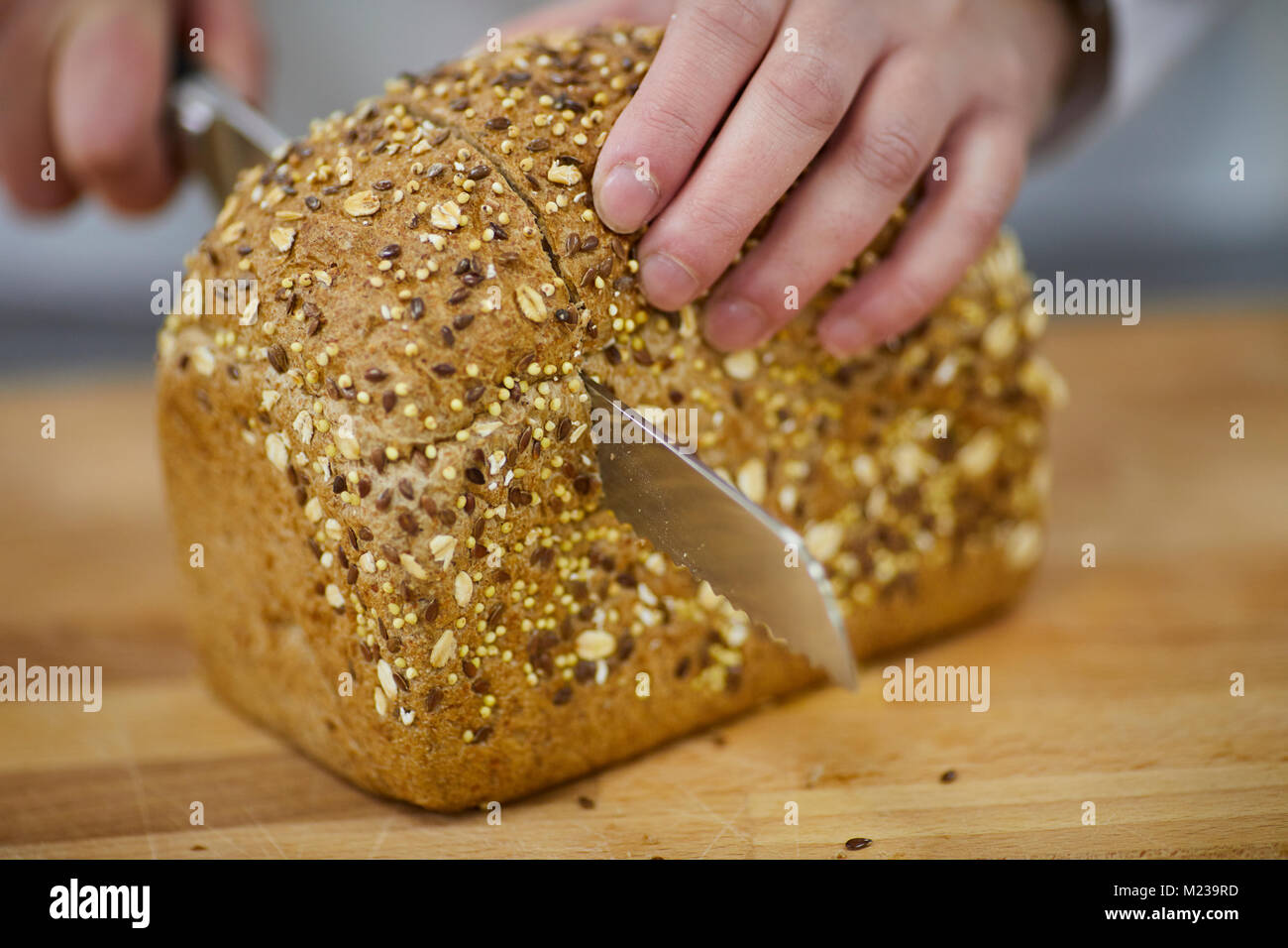Develop Bread MAKING OF BREAD IN A FACTORY DEVELOPMENT CETRE Stock Photo - Alamy