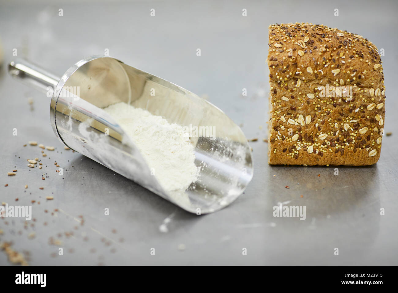 Develop Bread Prepared development hi-res stock photography and images - Alamy