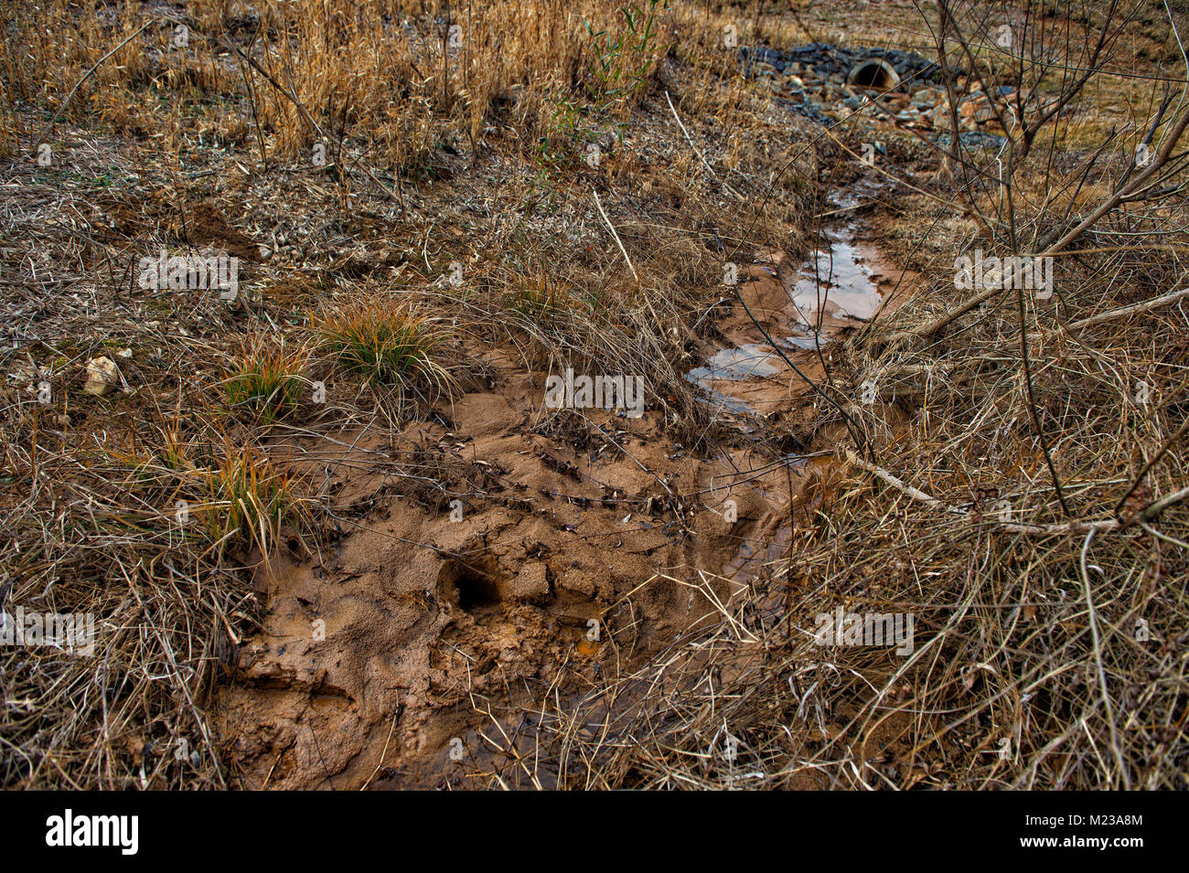 UNITED STATES 2018 Drainage ditch at Historic Selma Estates that is