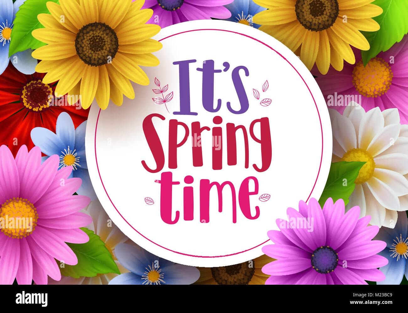 It S Spring Time Vector Greeting Background Design Template With White Space For Text And Colorful Various Daisy Flowers And Elements For Spring Stock Vector Image Art Alamy