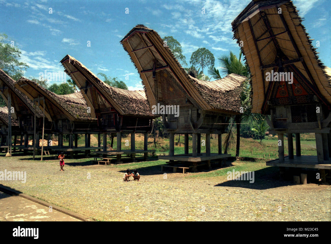 Traditional Toraja tongkonan or rice barns, Nanggala, Sulawesi, eastern Indonesia Stock Photo