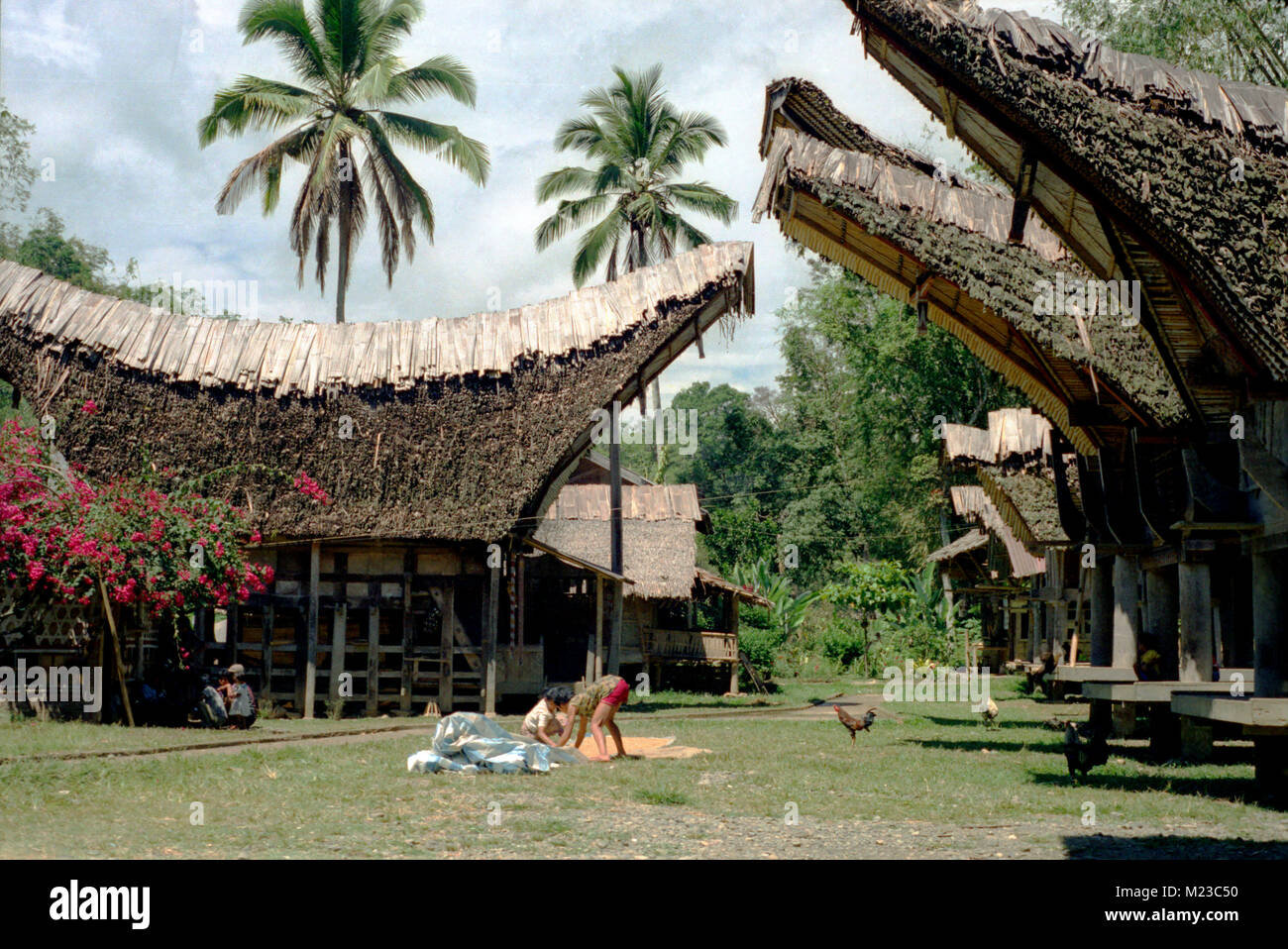 Toraja village of Kete Kesu, Sulawesi, eastern Indonesia Stock Photo