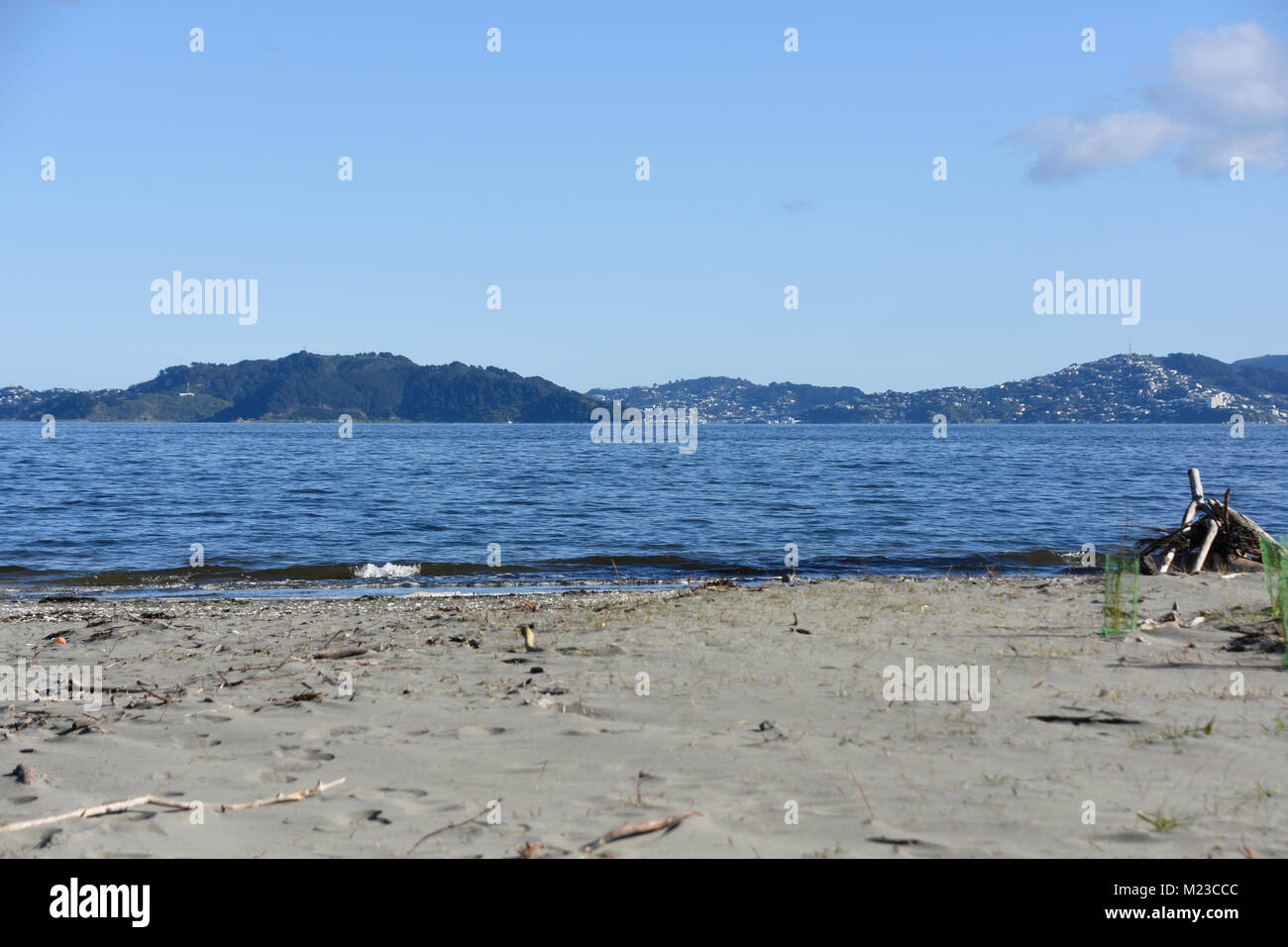 The beach at Wellington Stock Photo Alamy