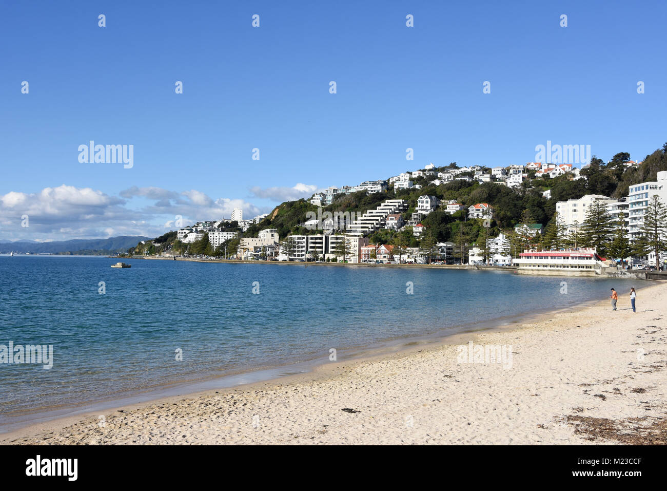 The beach at Wellington Stock Photo Alamy