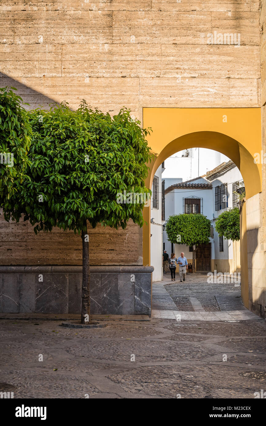 Cordoba, Spain - April 10, 2017: Old typical street with orange tree and arch in Cordoba Stock Photo