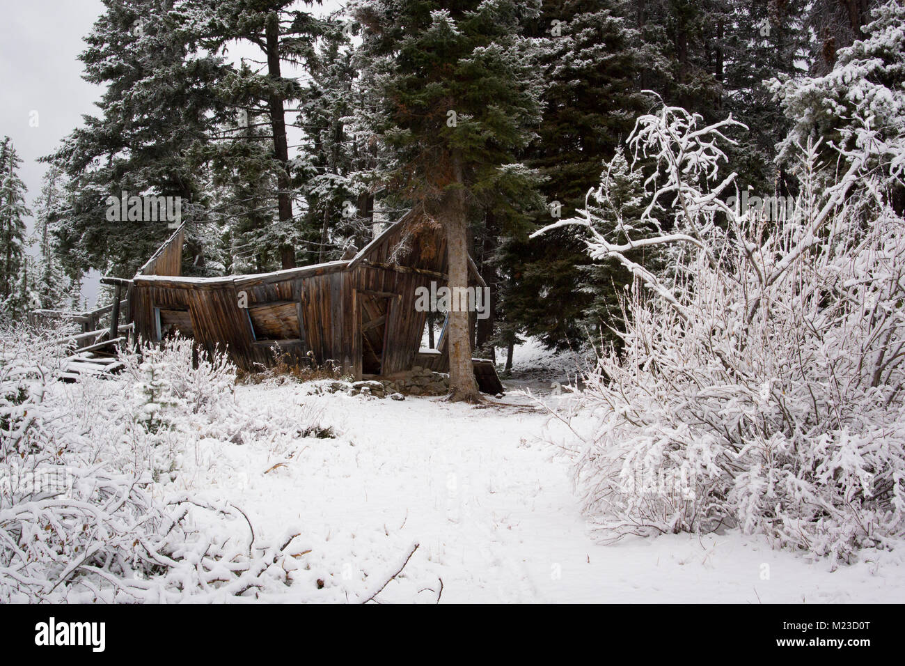 A collapsed wooden house at the Coloma mining town, off the Garnet Range Road, northwest of Drummond, Montana in Missloula County. Stock Photo