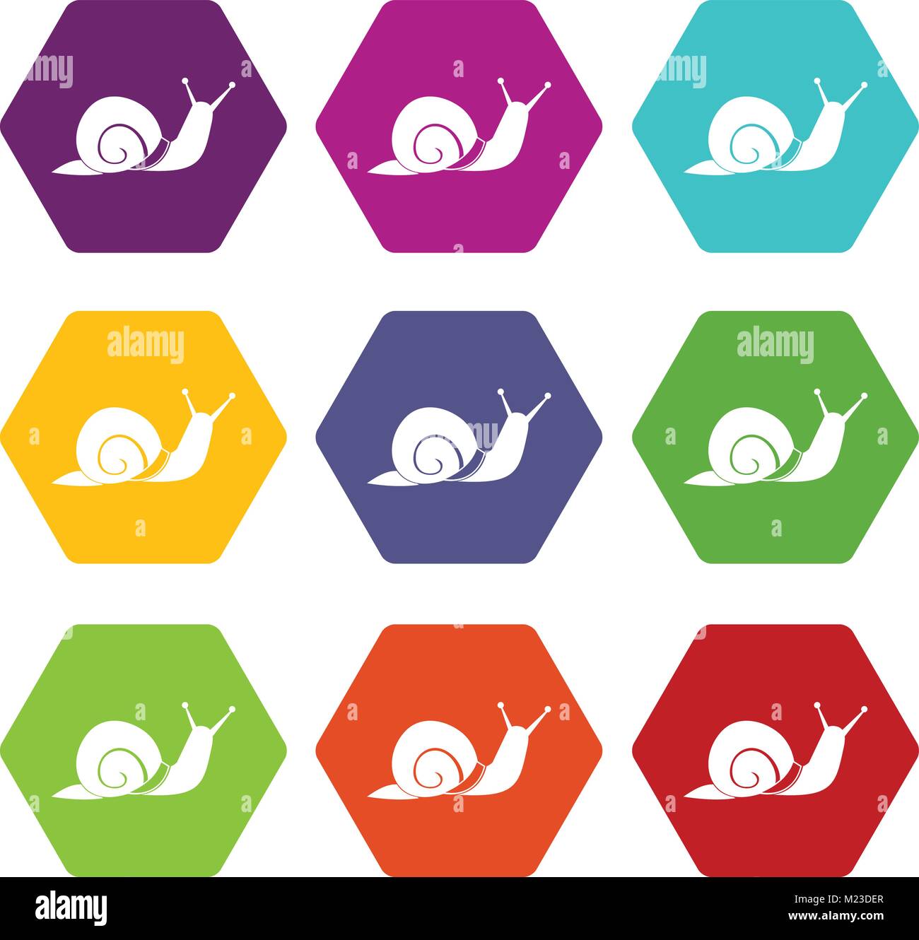Snail icon set color hexahedron Stock Vector Image & Art - Alamy