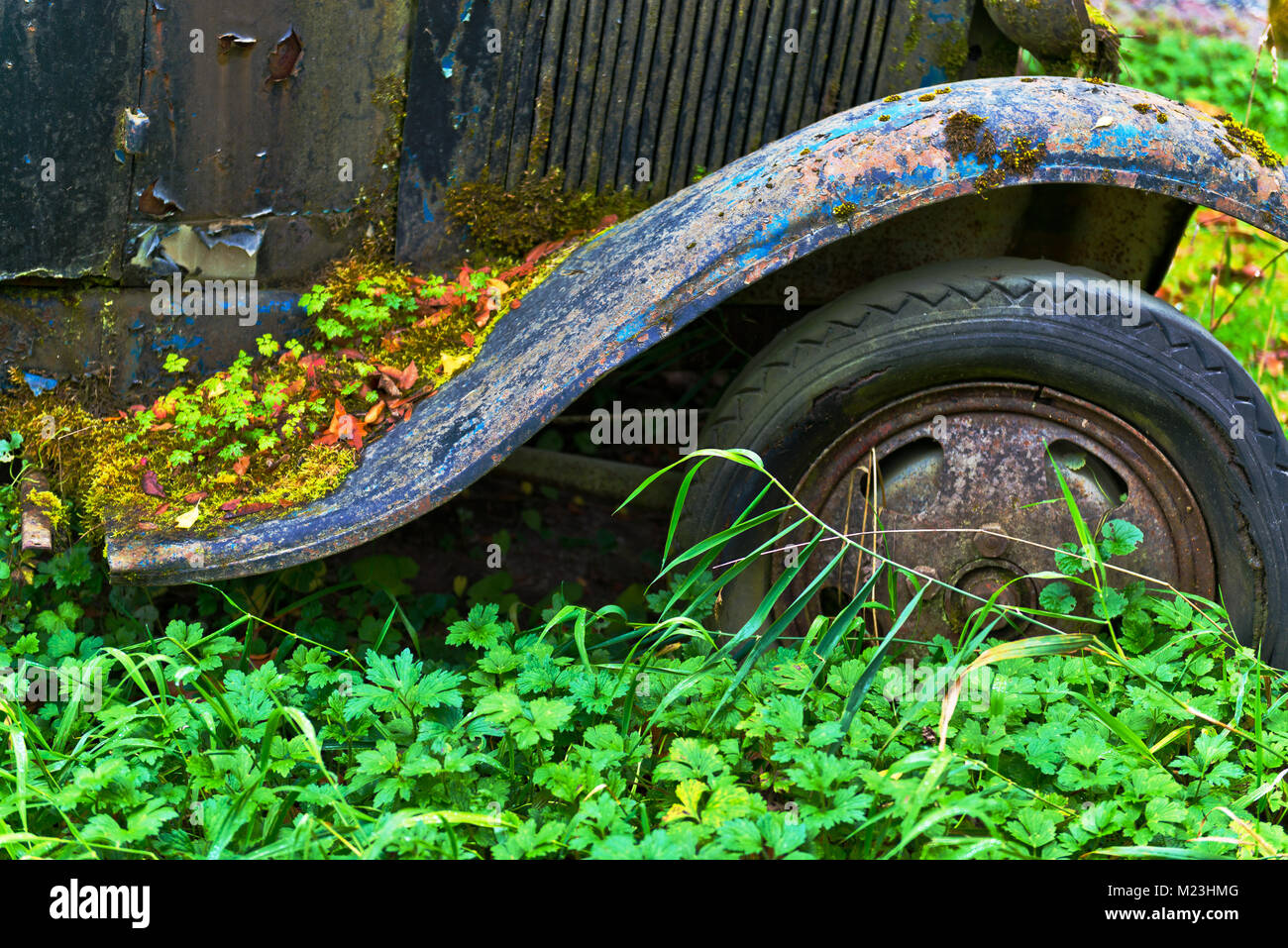 Old cars on a property in Deming, Washington, County Stock
