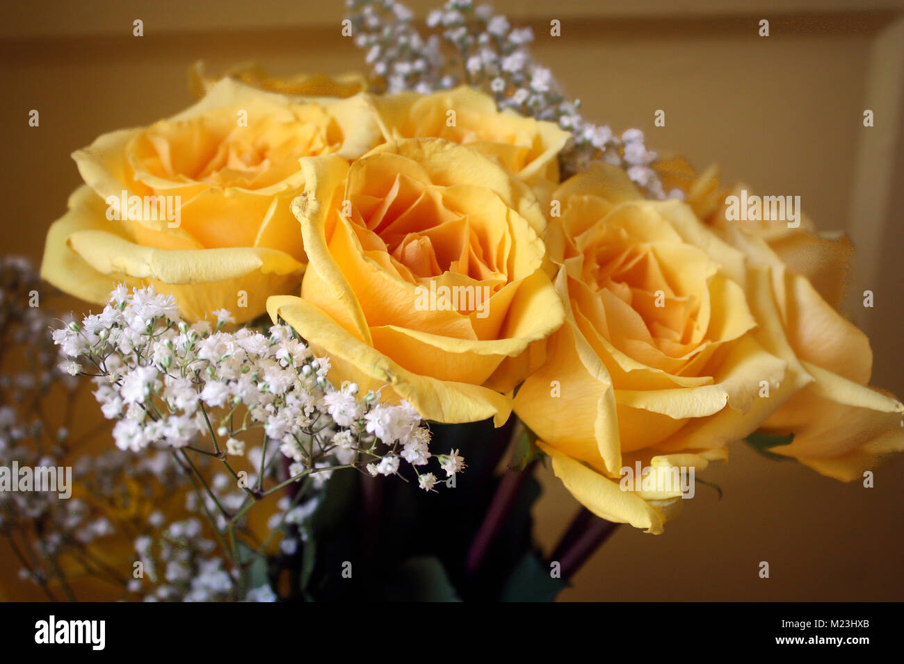 Bouquet Of Yellow Roses And White Tiny Flowers Stock Photo Alamy