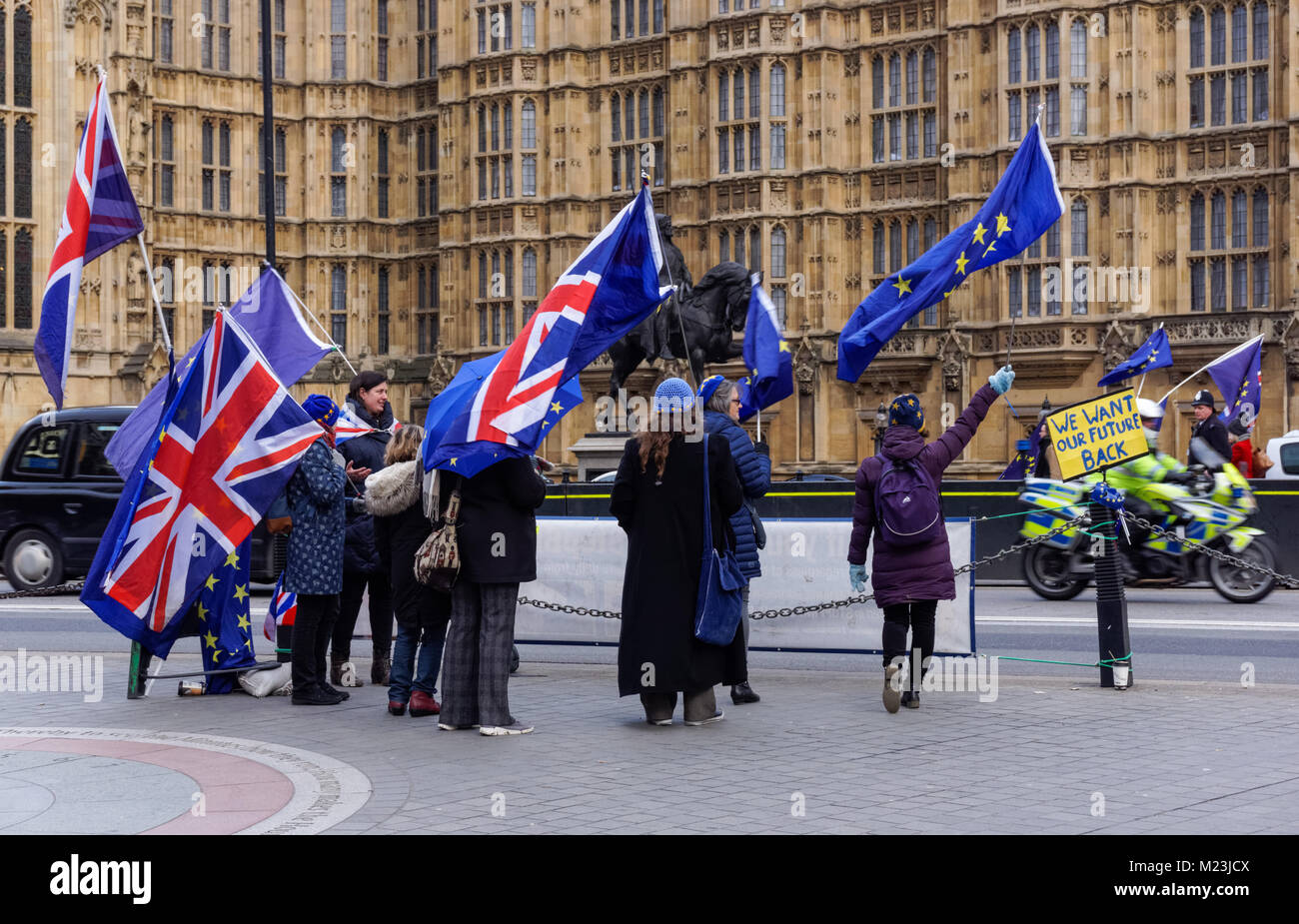 Anti-Brexit protesters demonstrate outside the Houses of Parliament in London, England, United Kingdom, UK Stock Photo