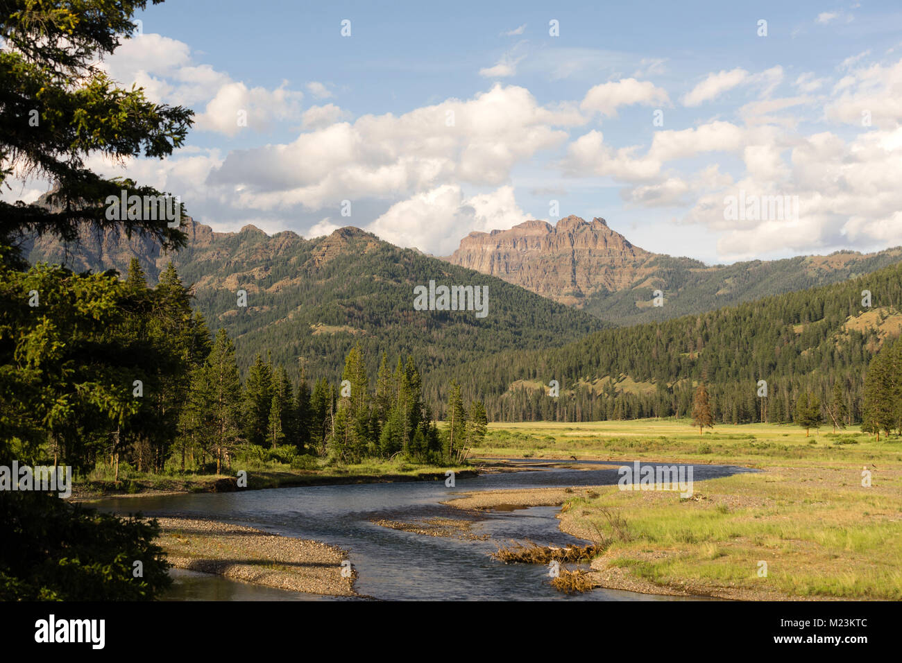 The Lamar Valley holds a river of the same name in Yellowstone, Wyoming Stock Photo