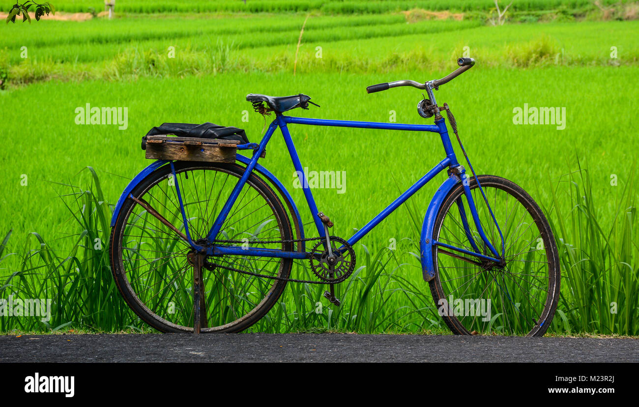 Old bicycle on green rice fields at the countryside in Bali Island,  Indonesia Stock Photo - Alamy, image size:1300x828