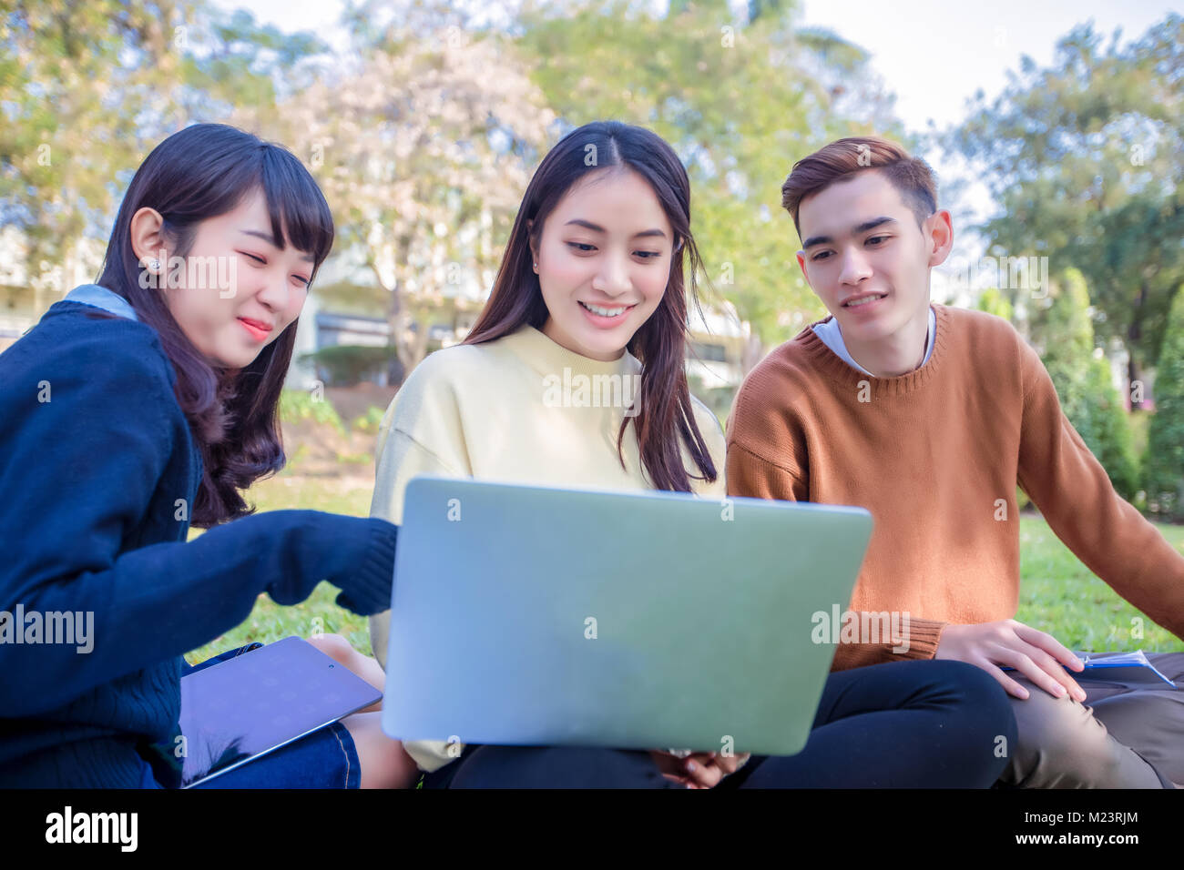 Group Of University Students asian sitting on the green grass Working ...
